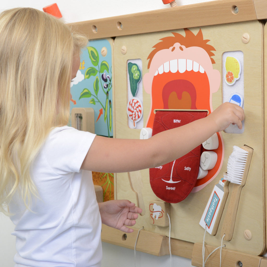 Masterkidz Wall Elements - Oral Care Learning Board