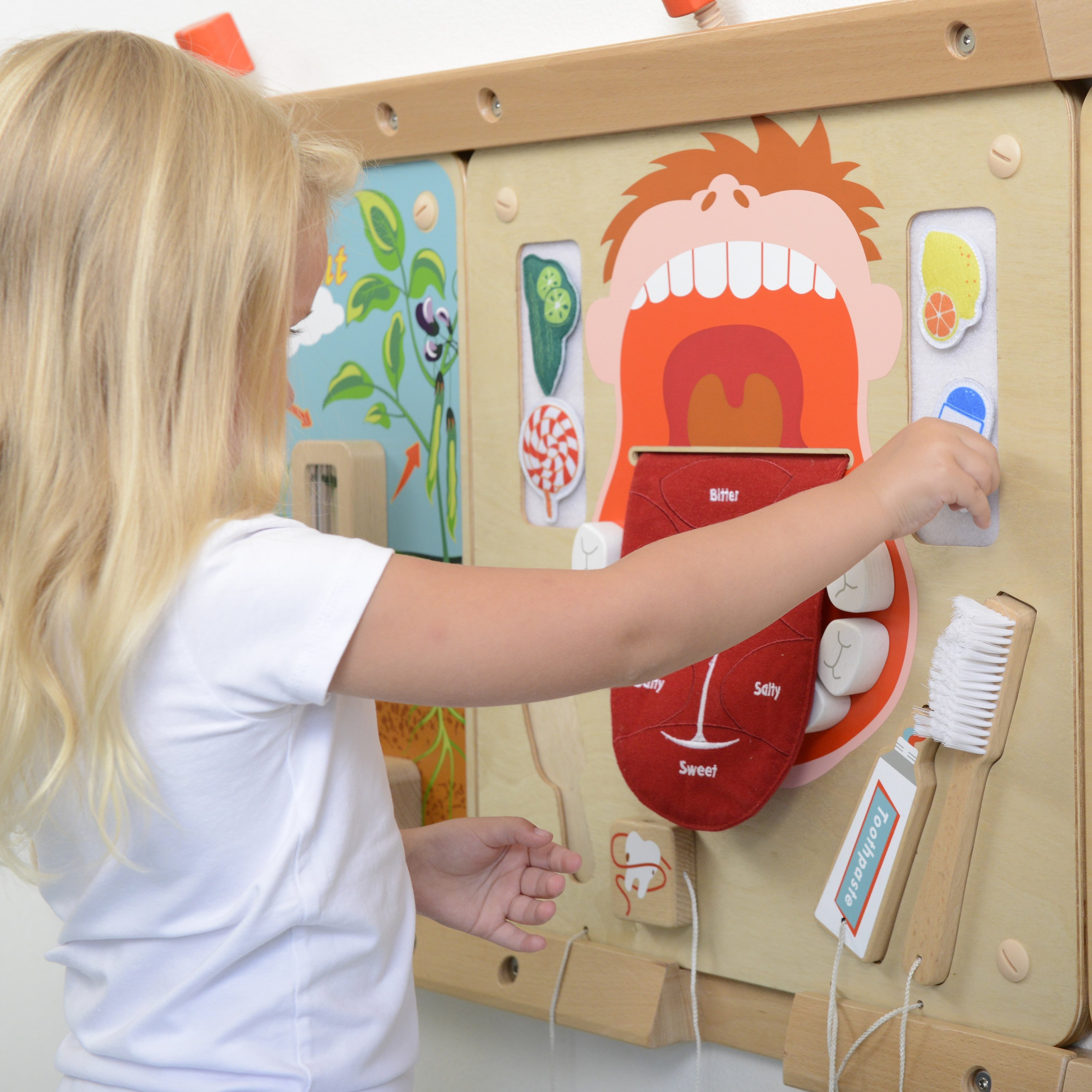 Masterkidz Wall Elements - Oral Care Learning Board