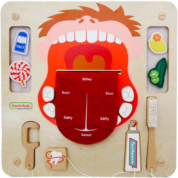 Masterkidz Wall Elements - Oral Care Learning Board