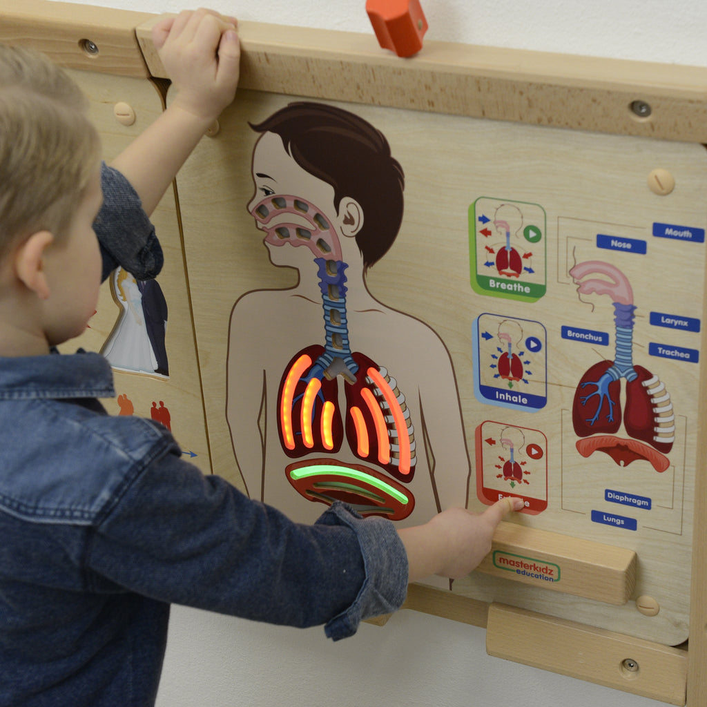 Masterkidz Wall Elements - Respiratory System
