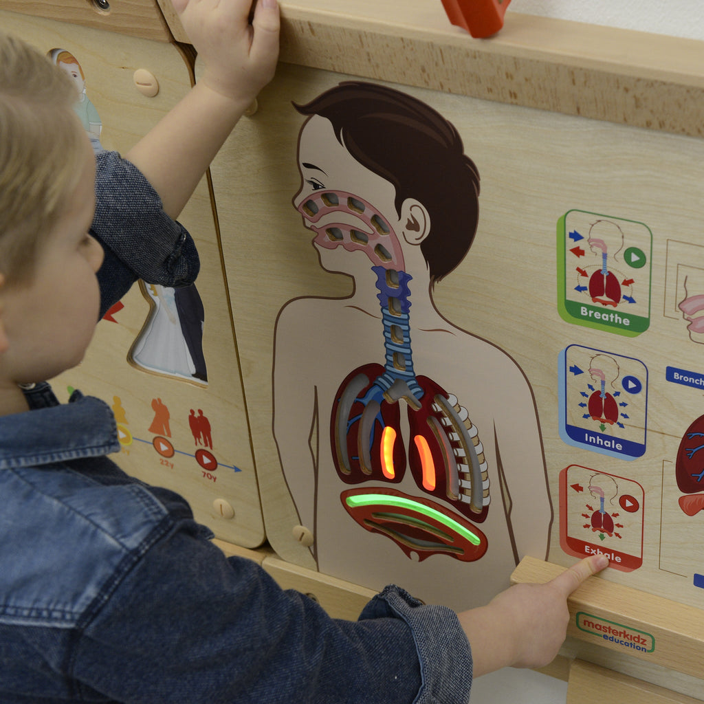 Masterkidz Wall Elements - Respiratory System